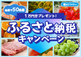 ふるさと納税キャンペーン