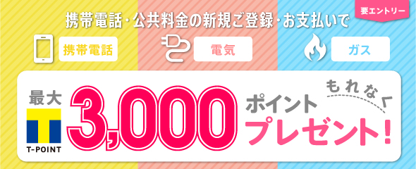 ファミマtカードトップ ポケットカード株式会社 ファミマtカードトップ ポケットカード株式会社